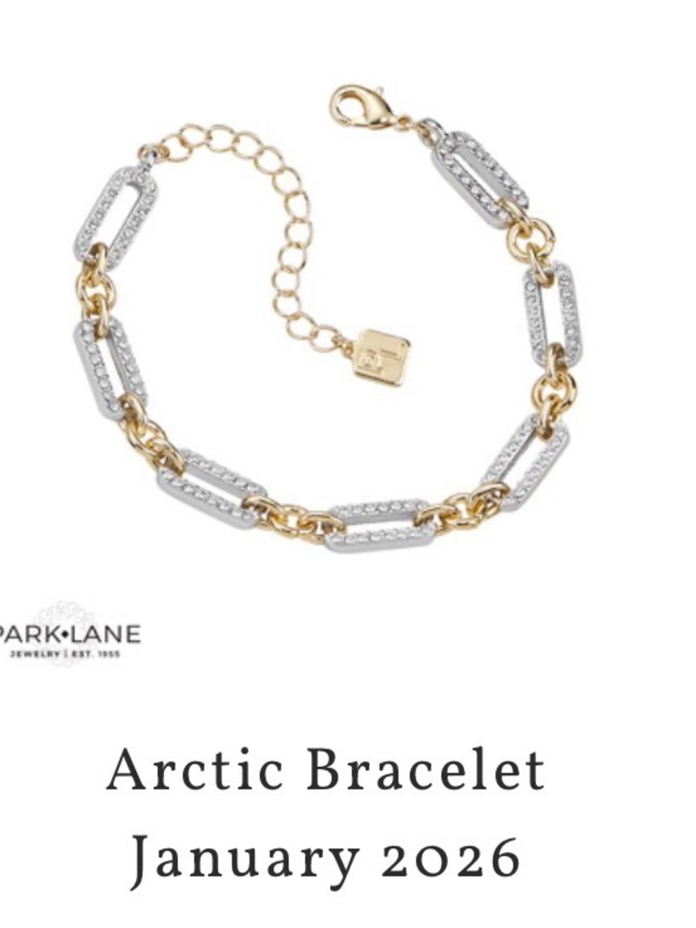 Park Lane Two-Tone Crystal Link Bracelet in Gold and Silver & Earring Set